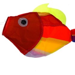 Regenbogenfisch - Drachen