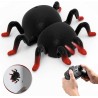 RC Spinne - Wandkletterspielzeug - mit Fernbedienung