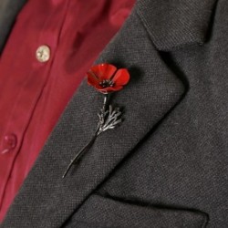 Rotes vierblättriges Kleeblatt - elegante Brosche