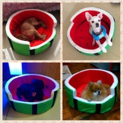 Weiches Hunde-/Katzenbett - Wassermelonenform