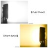 LED-Straßenlaterne - wasserdicht - 50W - 100W