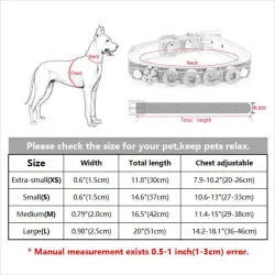 Hunde-/Katzenhalsband – mit Kristallnamen und Anhänger – individuell