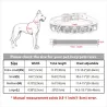 Dogs / cats collar - with crystal name and charm - customCollars & Leads