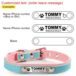 Hunde-/Katzenhalsband – ID-Tag – personalisiert – graviert – Leder