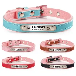 Hunde-/Katzenhalsband – ID-Tag – personalisiert – graviert – Leder