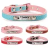 Hunde-/Katzenhalsband – ID-Tag – personalisiert – graviert – Leder