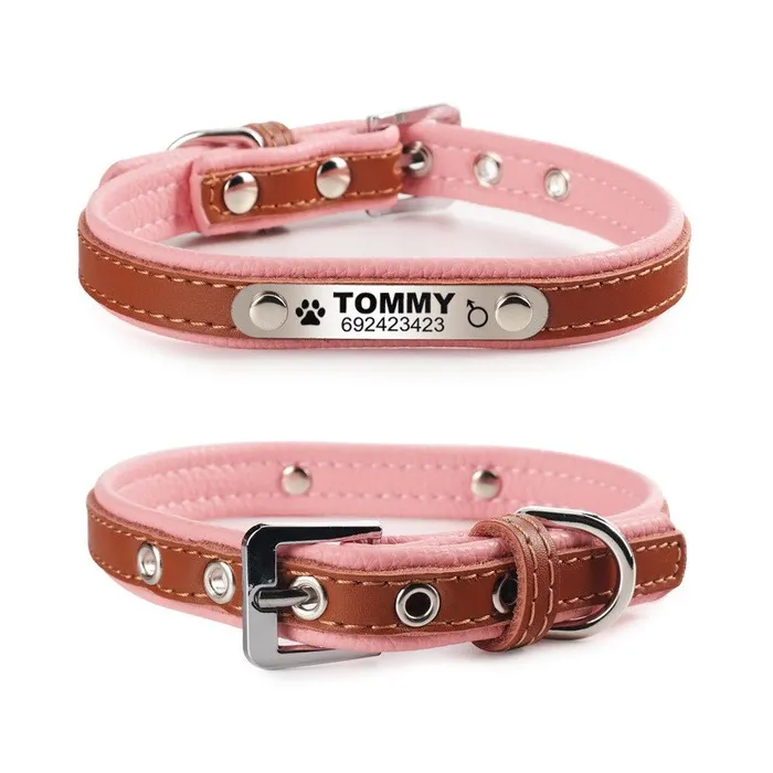 Hunde-/Katzenhalsband – ID-Tag – personalisiert – graviert – Leder