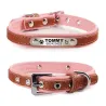Hunde-/Katzenhalsband – ID-Tag – personalisiert – graviert – Leder