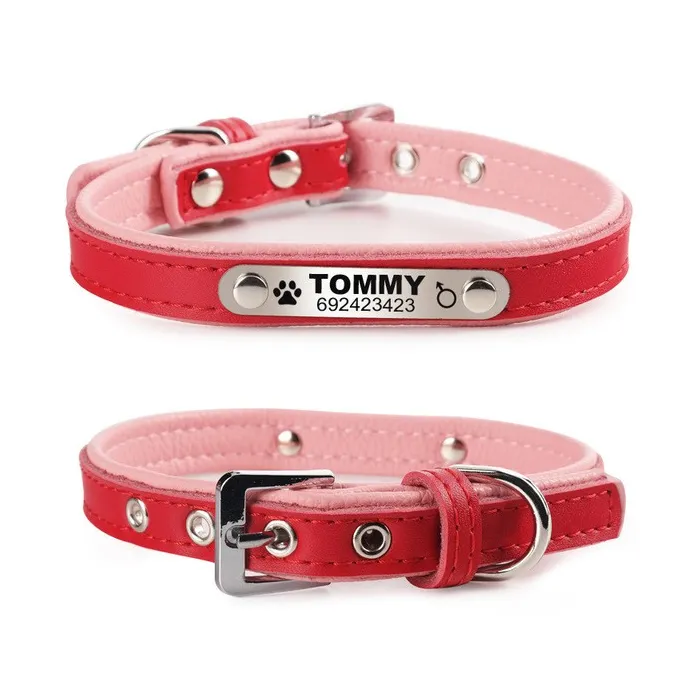 Dogs / cats collar - ID Tag - personalized - engraved - leatherCollar & Leads