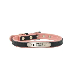Hunde-/Katzenhalsband – ID-Tag – personalisiert – graviert – Leder