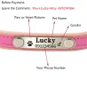 Hunde-/Katzenhalsband – ID-Tag – personalisiert – graviert – Leder