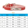 Hunde-/Katzenhalsband – ID-Tag – personalisiert – graviert – Leder