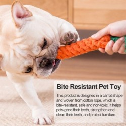 Bite resistant pet toy - carrotToys