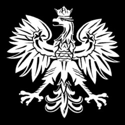 Polnischer Adler - Autoaufkleber - 15,2 * 15,1 cm