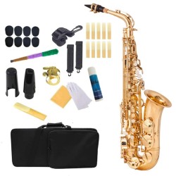 Professionelles Saxophon - Tonart Es-Alt - mit Koffer/Zubehör