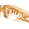 Professional saxophone - key-Eb Alto - with case / accessoriesSaxophones