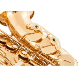 Professional saxophone - key-Eb Alto - with case / accessoriesSaxophones
