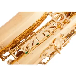 Professional saxophone - key-Eb Alto - with case / accessoriesSaxophones