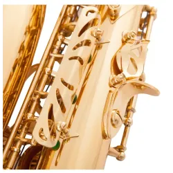 Professional saxophone - key-Eb Alto - with case / accessoriesSaxophones