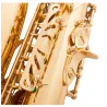 Professionelles Saxophon - Tonart Es-Alt - mit Koffer/Zubehör