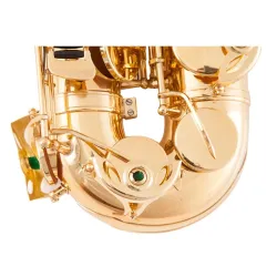 Professional saxophone - key-Eb Alto - with case / accessoriesSaxophones