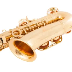 Professional saxophone - key-Eb Alto - with case / accessoriesSaxophones