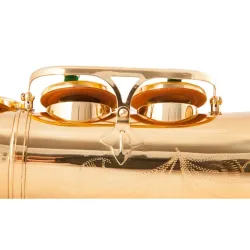Professional saxophone - key-Eb Alto - with case / accessoriesSaxophones