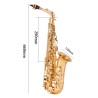 Professional saxophone - key-Eb Alto - with case / accessoriesSaxophones