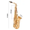 Professionelles Saxophon - Tonart Es-Alt - mit Koffer/Zubehör
