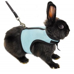 Hamster Rabbit Harness & Leash Set