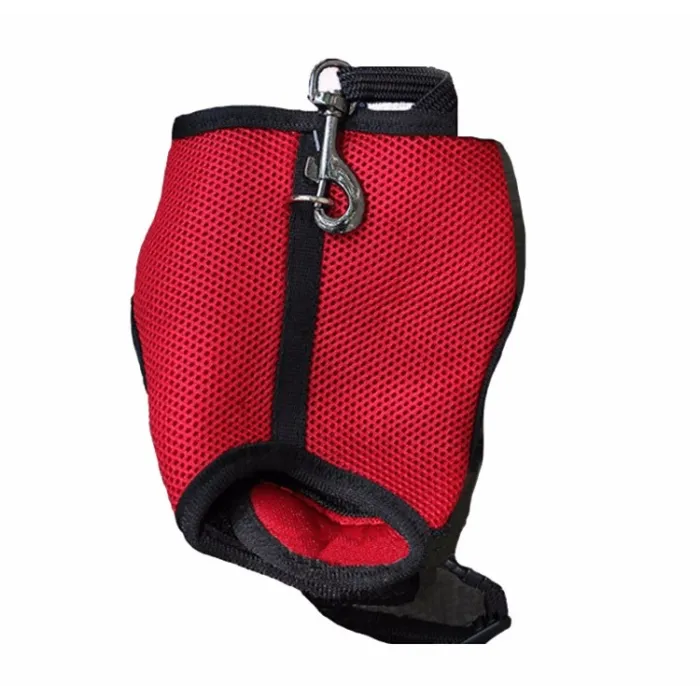 Hamster Rabbit Harness & Leash Set