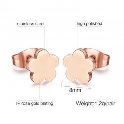 Rose Gold Stainless Steel Earrings 2 pairEarrings