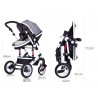 Zwei Wegesrollen Baby's Pram 0-3 Jahre