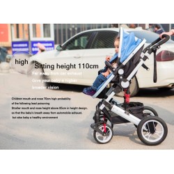 Zwei Wegesrollen Baby's Pram 0-3 Jahre