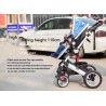 Zwei Wegesrollen Baby's Pram 0-3 Jahre