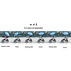 Zwei Wegesrollen Baby's Pram 0-3 Jahre
