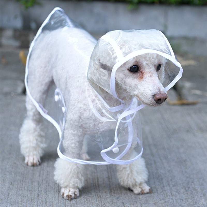 Dog raincoat - transparentClothing & shoes