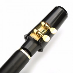 8 holes mini alto saxophone with mouthpiece tune BSaxophones