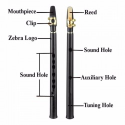 8 holes mini alto saxophone with mouthpiece tune BSaxophones