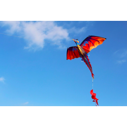Colorful flying dragon - kite - 140 * 120cmKites