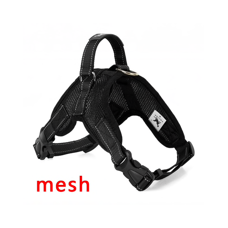 Dog's harness collar lead vestCollars & Leads