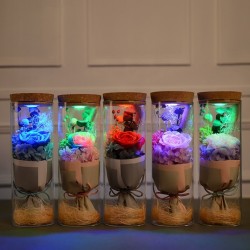 Bouquet of infinity roses in a glass vase with LED lightChristmas