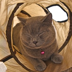 S - Shape foldable tunnel for cats & petsToys