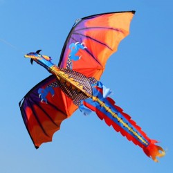 3D dragon kite with tail & line 100mKites