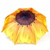 Sunflower design - rain & sun umbrella - foldingOutdoor & Camping