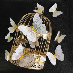 3D butterfly - wall sticker with magnet 12 piecesWall stickers