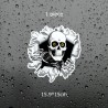 Car sticker with skull 15.9 * 15cmStickers