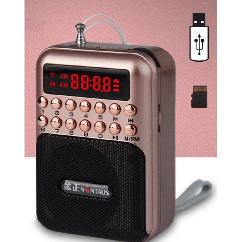 Portable - wiederaufladbares Miniradio - Unterstützung TF-Karte - USB - MP3-Player Portable - wiederaufladbares Miniradio - Unterstützung TF-Karte - USB - MP3-Player