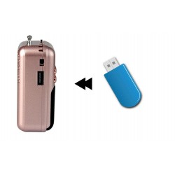 Portable - wiederaufladbares Miniradio - Unterstützung TF-Karte - USB - MP3-Player