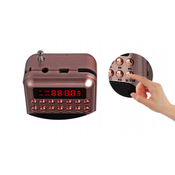 Portable - wiederaufladbares Miniradio - Unterstützung TF-Karte - USB - MP3-Player